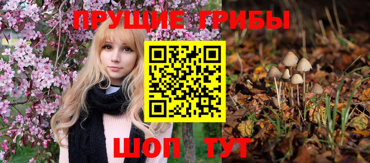 Галлюциногенные грибы ЛСД Кунгур