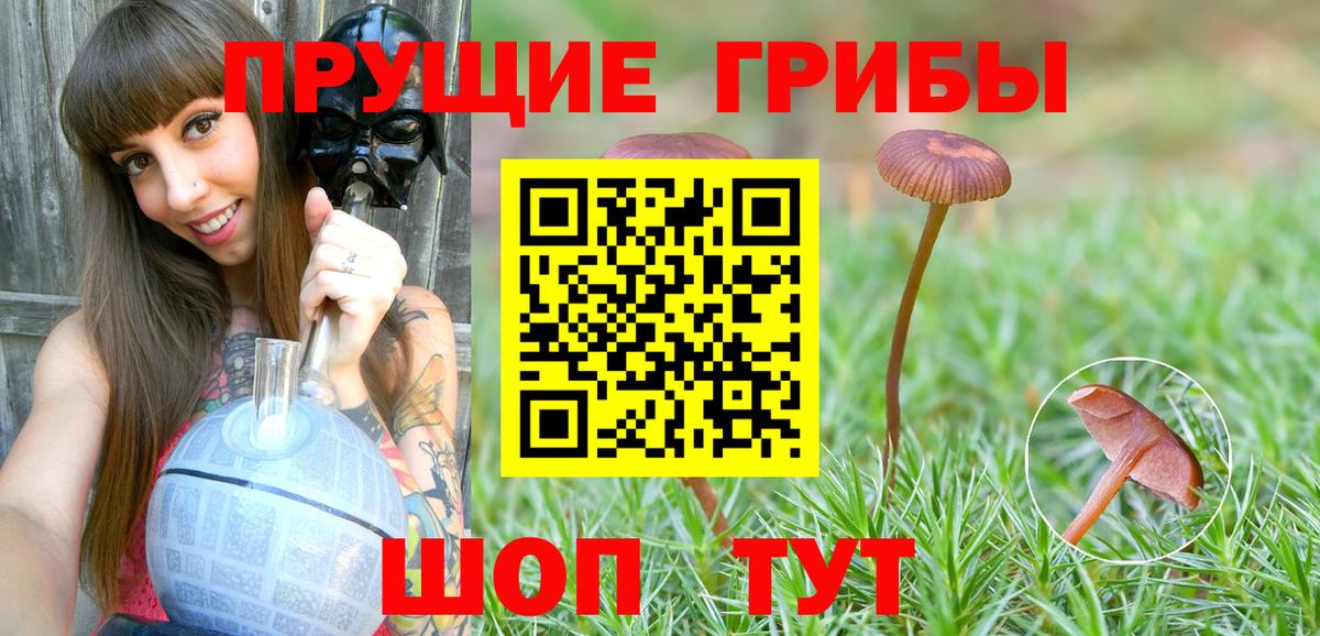Кунгур  Галлюциногенные грибы мицелий  Галлюциногенные грибы MAGIC MUSHROOMS  Вход с VPN 