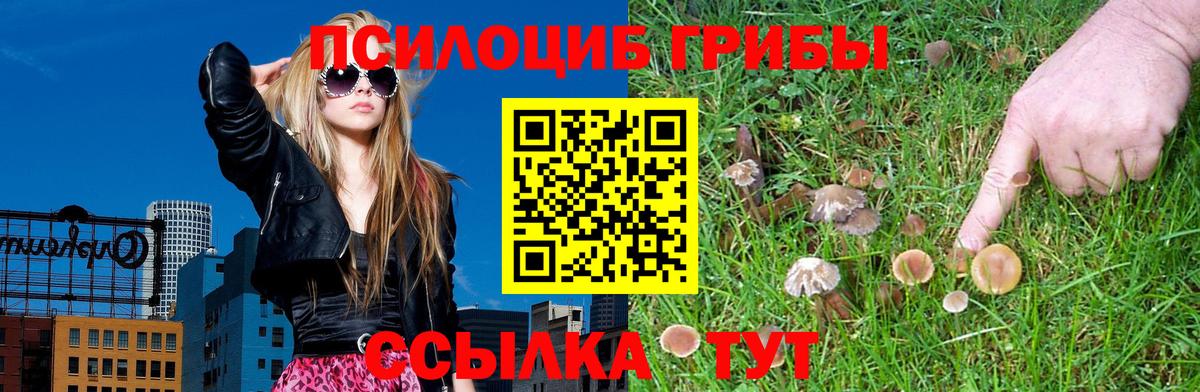 Псилоцибиновые грибы Кунгур